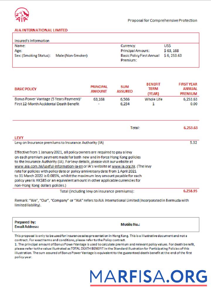Realistic USA AIA invoice sample